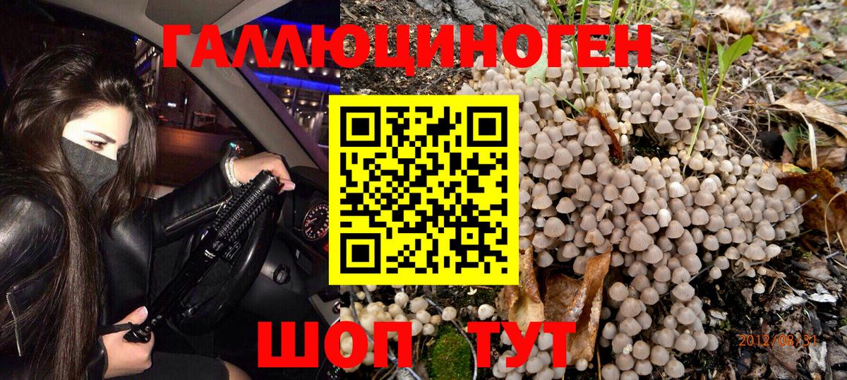 Псилоцибиновые грибы MAGIC MUSHROOMS  Вход с VPN  Галлюциногенные грибы прущие грибы  Рязань 